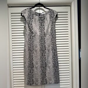 CALVIN KLEIN—EUC—6, Python Print Knit Dress, Capped Sleeves, Hidden Back Zipper